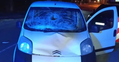 У Львівському районі біля села Великі Грибовичі у ДТП загинув пішохід