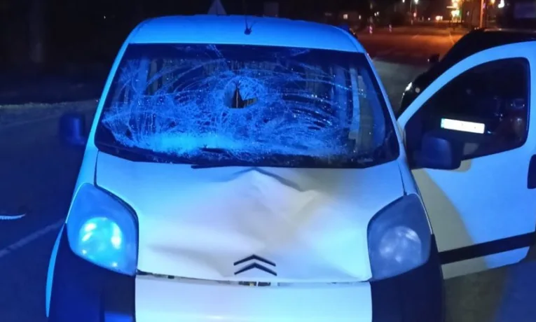 У Львівському районі біля села Великі Грибовичі у ДТП загинув пішохід