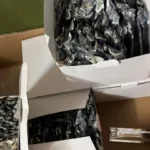 На Львівщині у пункті пропуску “Шегині” прикордонники вилучили майже пів тисячі електронних сигарет