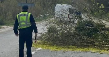 Через падіння дерева на вантажівку постраждав водій
