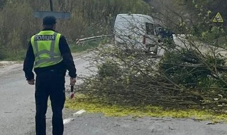 Через падіння дерева на вантажівку постраждав водій