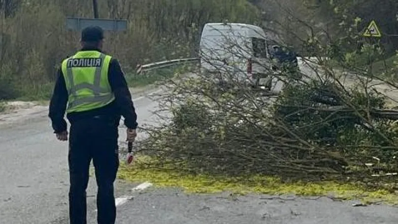Через падіння дерева на вантажівку постраждав водій