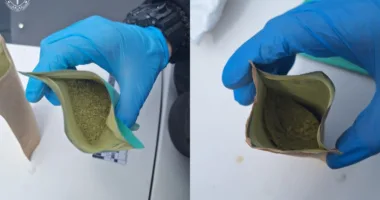 Замовила кратом поштою: у Львові мешканку Кривого Рогу підозрюють у зберіганні наркотиків