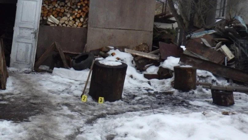 На Львівщині чоловіка підозрюють у жорстокому вбивстві кота