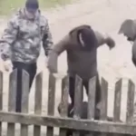 На Стрийщині розслідують інцидент за участі поліцейських і військовослужбовців ТЦК