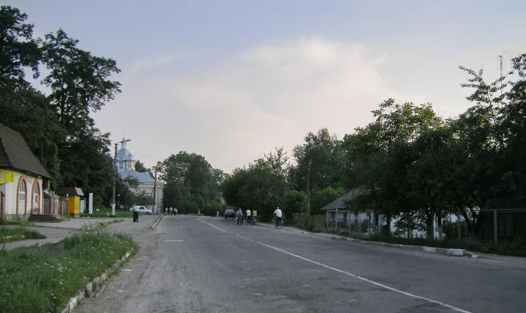 Суд зобов’язав Меденицьку селищну раду створити орган з охорони культурної спадщини