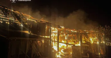 У Львівському районі вночі горіло приватне господарство: рятувальники запобігли поширенню вогню