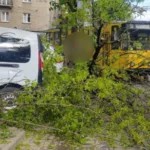 Вихідні з негодою: як Львівщина пережила шквали та відключення світла