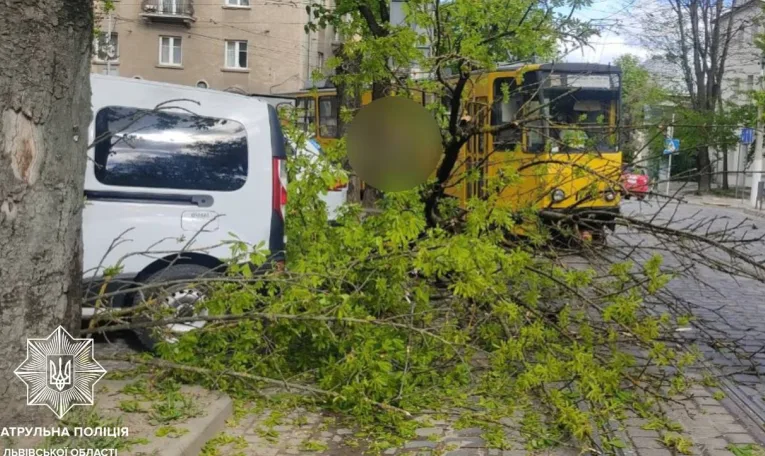 Вихідні з негодою: як Львівщина пережила шквали та відключення світла