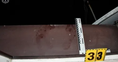 Трагедія на Львівщині:33-річного онук вбив родичів та намагався вчинити самогубство