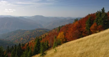 На території парку “Сколівські Бескиди” облаштують екостежку та велоінфраструктуру