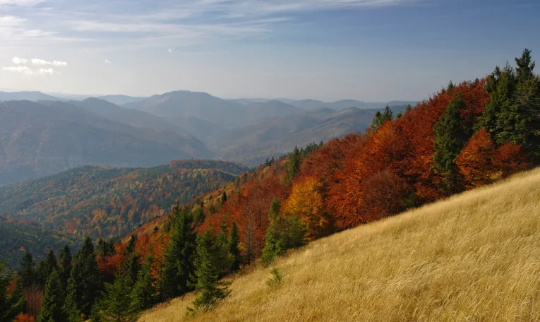 На території парку “Сколівські Бескиди” облаштують екостежку та велоінфраструктуру
