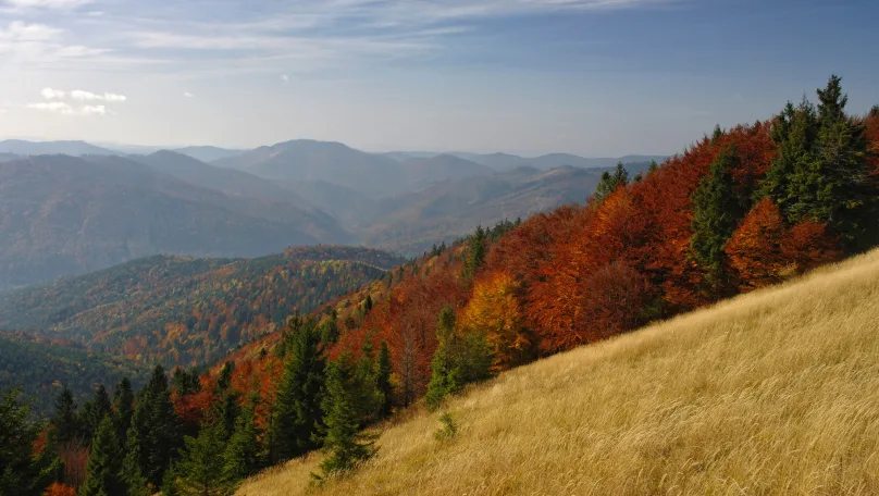 На території парку “Сколівські Бескиди” облаштують екостежку та велоінфраструктуру