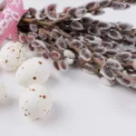 Церкви Львова оприлюднили розклади богослужінь на Вербну неділю