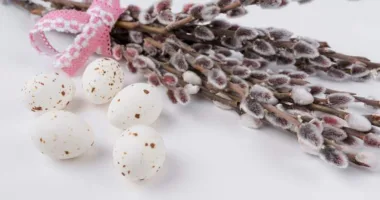 Церкви Львова оприлюднили розклади богослужінь на Вербну неділю