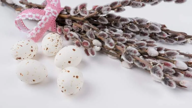 Церкви Львова оприлюднили розклади богослужінь на Вербну неділю