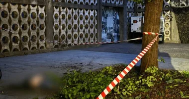 У Львові з вежі Ратуші вистрибнув 42-річний громадянин Австралії