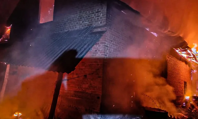 У Шептицькому районі під час пожежі в господарській будівлі рятувальники врятували коня