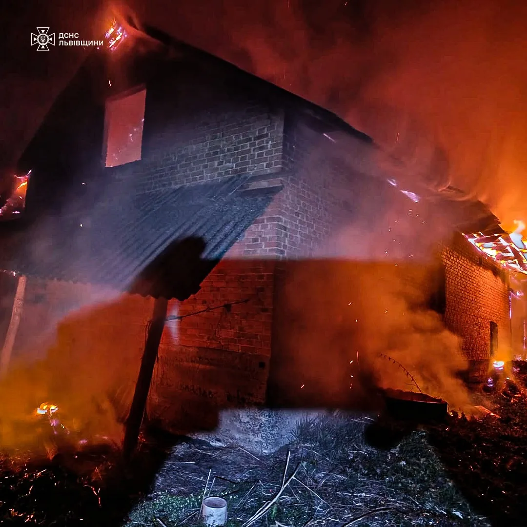 У Шептицькому районі під час пожежі в господарській будівлі рятувальники врятували коня