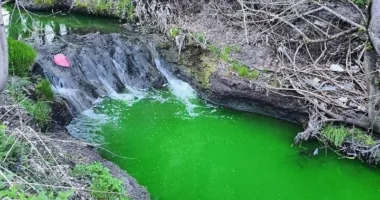 У Львові міські служби перевірили річку Зубра після інформації про зміну кольору води