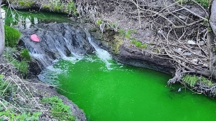 У Львові міські служби перевірили річку Зубра після інформації про зміну кольору води