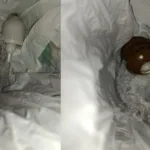 Граната, наркотики та грабіж на іспитовому строці: на Львівщині 29-річного чоловіка засудили до 7 років тюрми