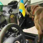 Киянина засудили за контрабанду майже 700 грамів кокаїну через Львівщину