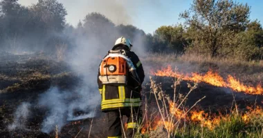 На Львівщині за добу ліквідували 8 пожеж в екосистемах