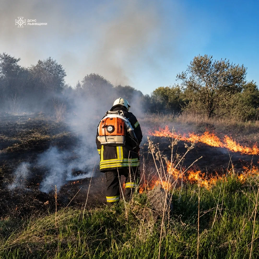 На Львівщині за добу ліквідували 8 пожеж в екосистемах