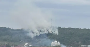 У Великих Грибовичах ліквідували масштабну пожежу на пагорбі