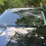 Тікав від правоохоронців та збив автівкою поліцейського: затримали стоматолога однієї з поліклінік Львова