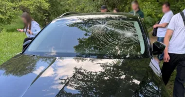 Тікав від правоохоронців та збив автівкою поліцейського: затримали стоматолога однієї з поліклінік Львова