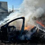 На Львівщині судили матір хлопчика, який підпалив сухостій і спричинив пожежу Tesla