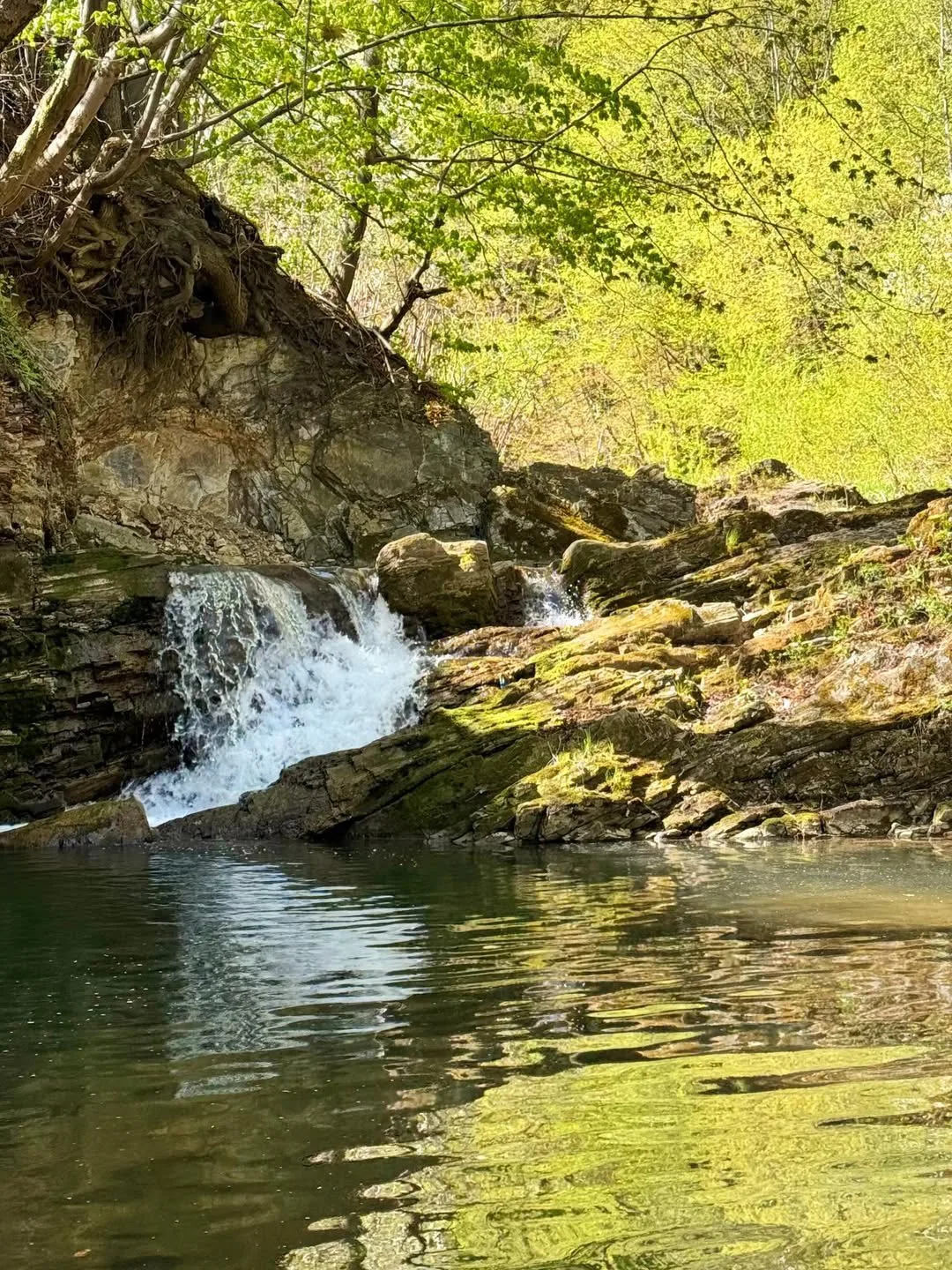 У Бориславі посеред міста ховається унікальний водоспад на річці Тисмениця