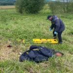 Після триденних пошуків зниклу 32-річну львів’янку знайшли в полі