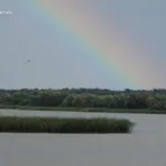 Добротвірське водосховище на Львівщині повернули у власність держави