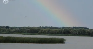Добротвірське водосховище на Львівщині повернули у власність держави