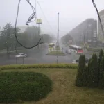 Негода у Львові: повалені дерева, обриви дротів і пошкодження інфраструктури