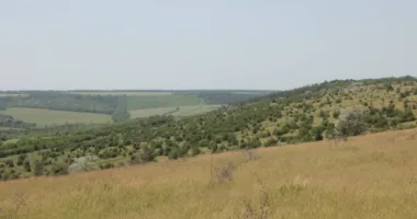 На околицях Львова створили ландшафтний заказник «Хомичеві пагорби» площею 55 гектарів