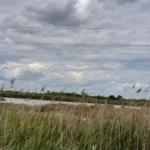 Стрийській громаді повернули понад 53 га земель водного фонду після розірвання незаконної оренди