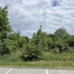 Львівська міськрада готує до продажу ділянку 1,5 га на вул. Земельній за майже 77 млн грн
