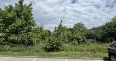 Львівська міськрада готує до продажу ділянку 1,5 га на вул. Земельній за майже 77 млн грн
