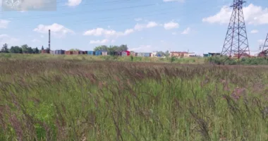 У Львові судитимуть держреєстраторку, яка незаконно переоформила заповідну землю вартістю майже 22 млн грн