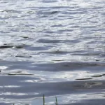 На Львівщині заборонили купання в озері Задорожнє після спалаху кишкової інфекції: захворіли 30 людей