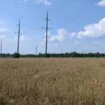 Біля Львова продали понад 3 га землі за 74,7 млн грн: ділянку придбала IT-компанія