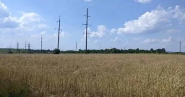 Суд зобов’язав кооператив «Пікап» повернути Львову понад 2,5 гектара землі
