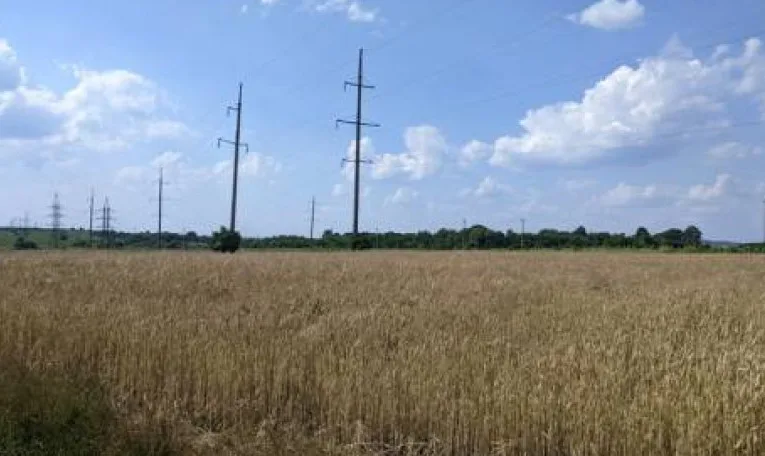 Суд зобов’язав кооператив «Пікап» повернути Львову понад 2,5 гектара землі