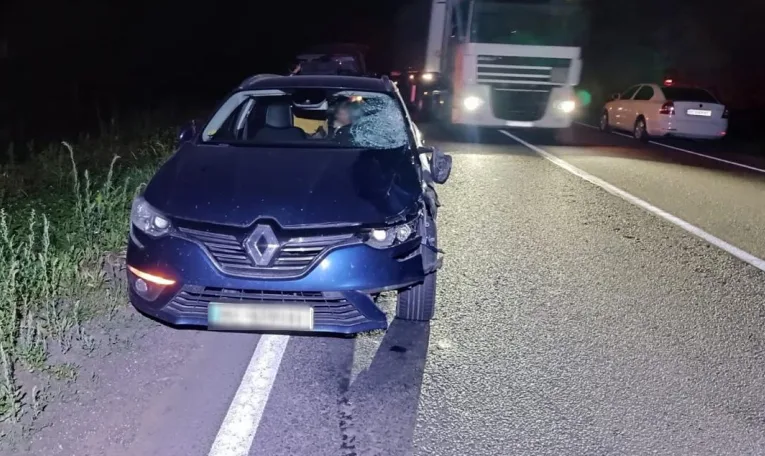На Львівщині водій Renault на смерть збив 62-річного пішохода