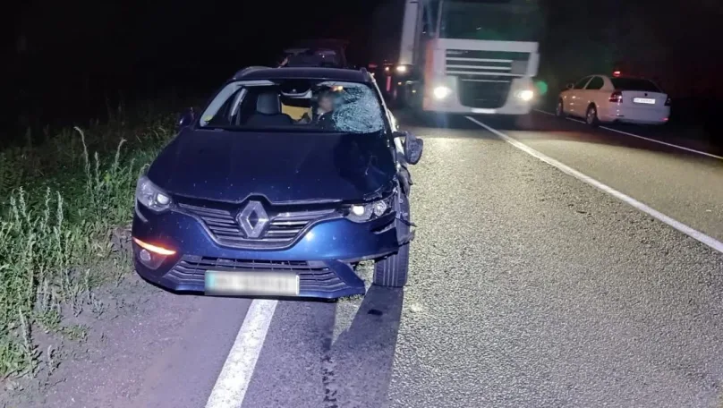 На Львівщині водій Renault на смерть збив 62-річного пішохода