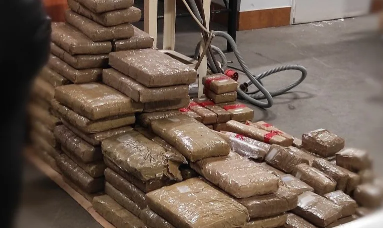 На Львівщині оштрафували прикордонника за пропуск 300 кг гашишу без перевірки собакою
